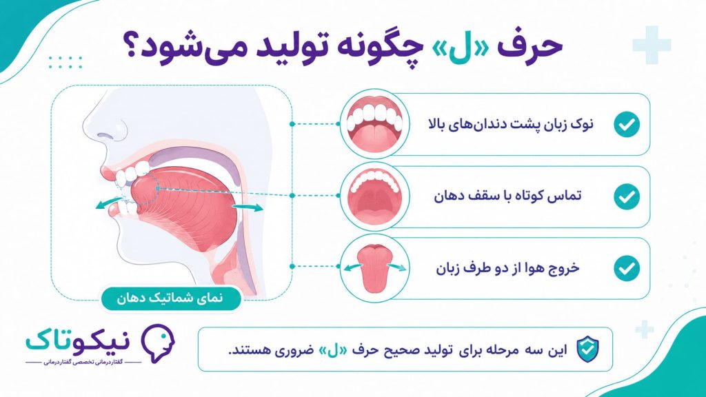 حرف ل چگونه تولید می شود