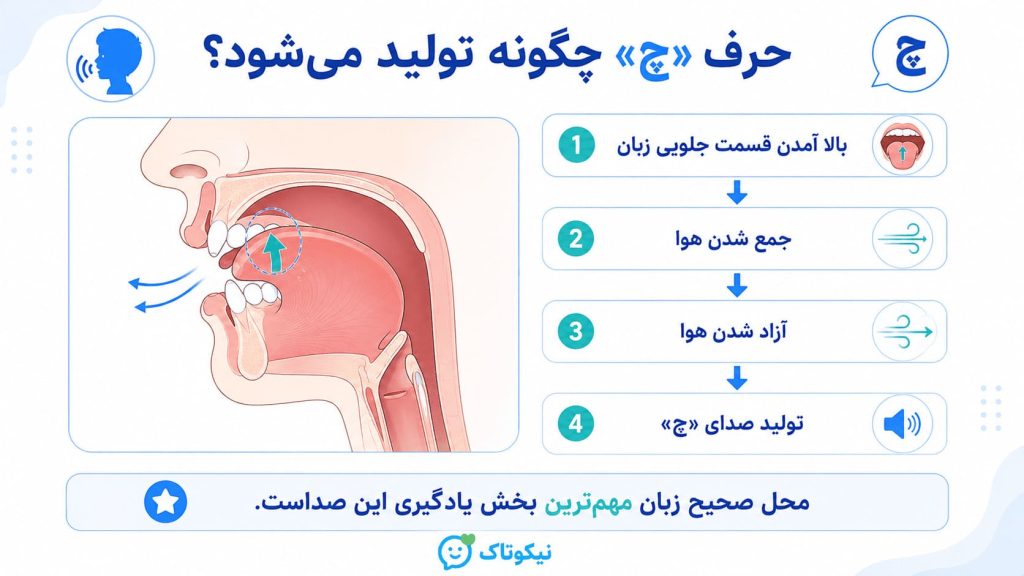 حرف چ چگونه تولید می شود